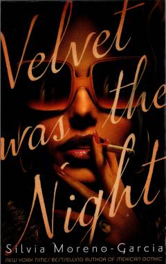 Velvet was the night