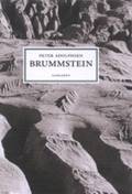 Brummstein