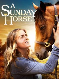 A sunday horse