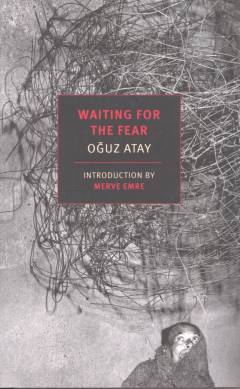 Waiting for the fear