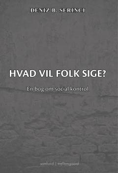 Hvad vil folk sige? : en bog om social kontrol