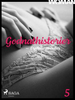 Godnathistorier : erotiske noveller. 5