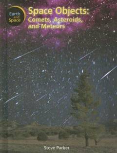 Space objects : comets, asteroids and meteors