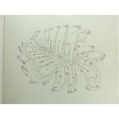 Bog, 1. udgave, 2019