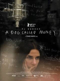 A dog called Money