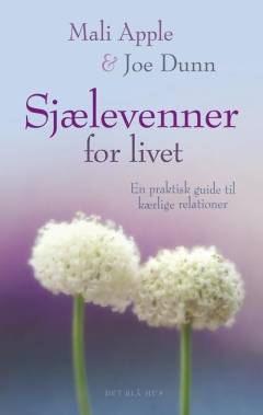 Sjælevenner for livet : en praktisk guide til kærlige relationer