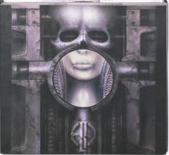 Brain salad surgery