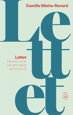 Lettet : historien om et helt almindeligt sammenbrud