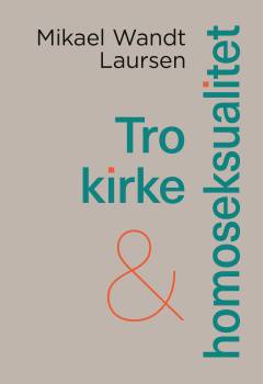 Tro, kirke og homoseksualitet : hvordan kan kirken blive et hjem for alle uanset seksuel orientering?