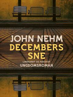 Decembers sne