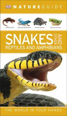 Snakes and other reptiles and amphibians