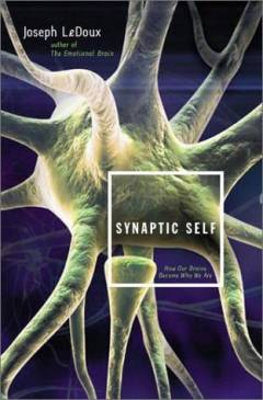 Synaptic self : how our brains become who we are