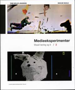 Medieeksperimenter : visuel læring og it