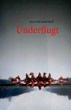 Underflugt : digte