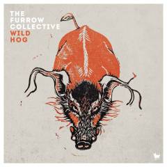 Wild hog