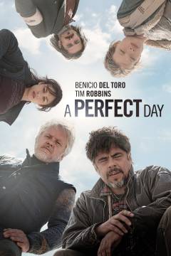 A perfect day