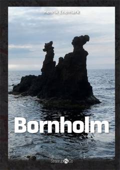 Bog, 1. udgave, 2021