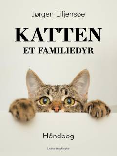Katten - et familiedyr