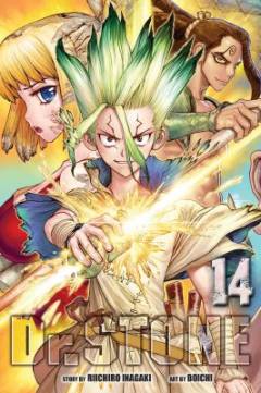 Dr. stone. Volume 14 : Medusa's true face