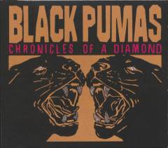 Chronicles of a diamond