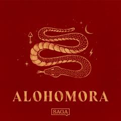 TEMA: Forudindtagethed (Hemmelighedernes Kammer #7)