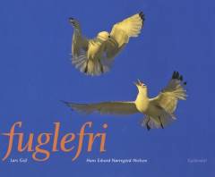 Fuglefri : fuglene i det danske landskab