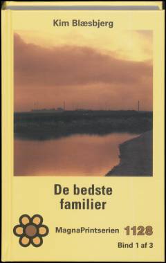 De bedste familier. Bind 1 (Stor skrift)