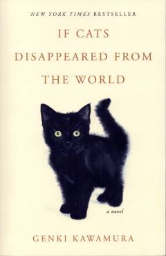 If cats disappeared from the world