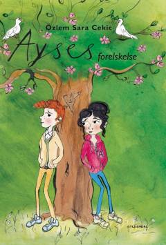 Ayses forelskelse