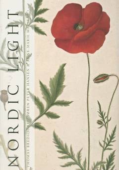 Nordic light