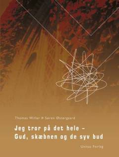 Jeg tror på det hele - Gud, skæbnen og de syv bud! : et studie i danske unges forhold til tro, kirken og søgen efter mening