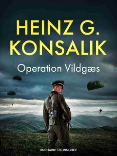 Operation Vildgæs