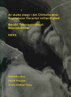 At skabe slægt i det chthulucæne : reproducer flerartet retfærdighed: Barokt teknopatriarkat : reproduktion: Heks