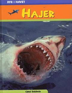 Hajer