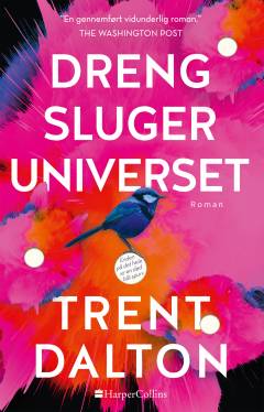 Dreng sluger universet