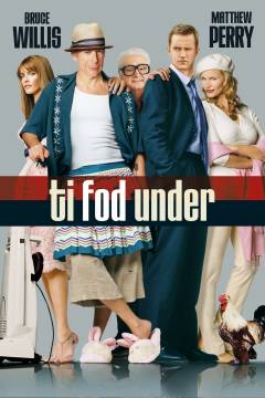 Film (dvd), 2005