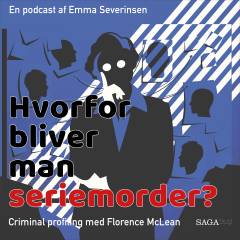 Hvorfor bliver man seriemorder? : en gerningsmandsprofil