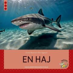 En haj