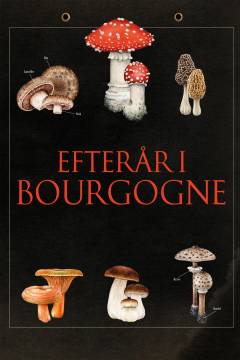 Efterår i Bourgogne