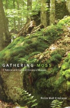 Bog, 2003
