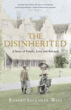 The disinherited : a story of family, love and betrayal