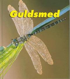 Guldsmed