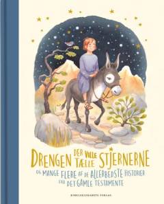 Drengen der ville tælle stjernerne : og mange flere af de allerbedste historier fra Det Gamle Testamente