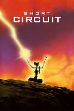 Film (dvd), 2006