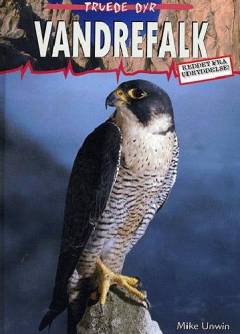 Vandrefalk : reddet fra udryddelse!
