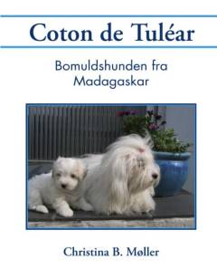 Coton de Tuléar : bomuldshunden fra Madagaskar