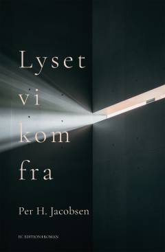 Lyset vi kom fra