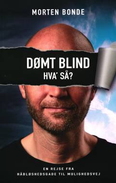 Dømt blind - hva' så? : en rejse fra Håbløshedsgade til Mulighedsvej