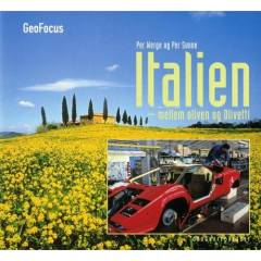 Italien : mellem oliven og Olivetti