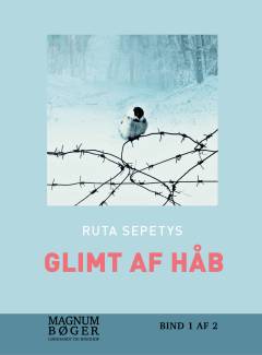 Glimt af håb. Bind 1 (Stor skrift)